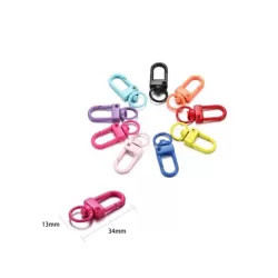 Mini Carabiners - Keychains - Multicolor - 10 Pieces