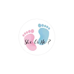 Birth Sticker She Or He Blue-pink - Envelope - Sealing - Baby Shower - 24 Pieces – Ø 4,5 cm