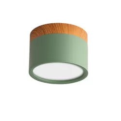 Colored Surface Mounted Led Lighting - Green/Wood - Round 75 mm - 230vac