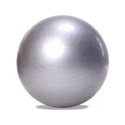 Gym ball - yoga - fitness - pilates - swiss ball - 65 cm - silver