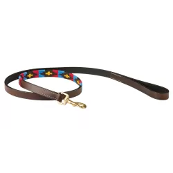 Weatherbeeta Polo Leather Dog Lead - Cowdray-brown-pink-blue-yellow - 120cm