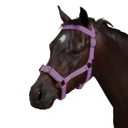 Kincade Horse Halter Cavesson Quilted - Purple - Size Full