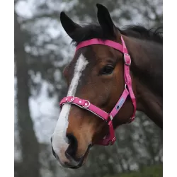 Kincade Horse Halter Cavesson Quilted - Hot Pink - Size Full